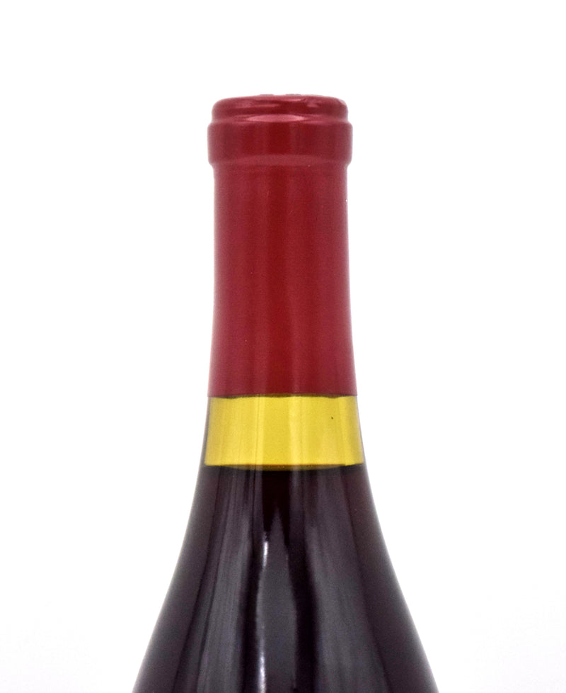 2013 Williams Selyem Terra De Promissio Vineyard Pinot Noir