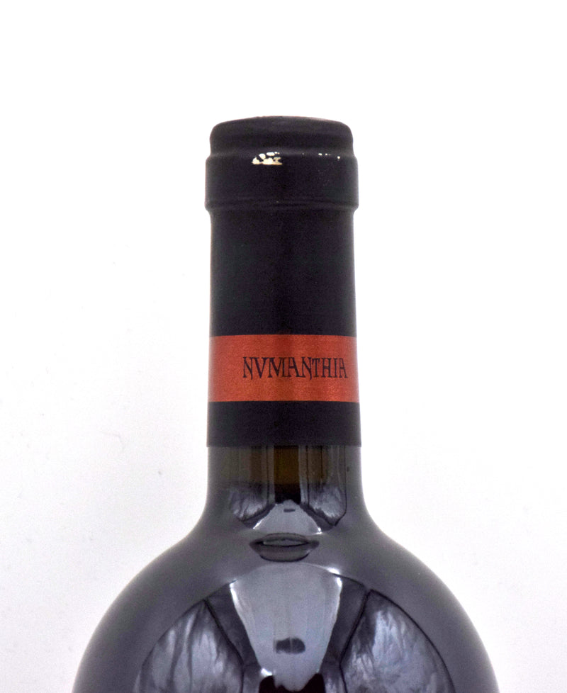 2000 Bodega Numanthia