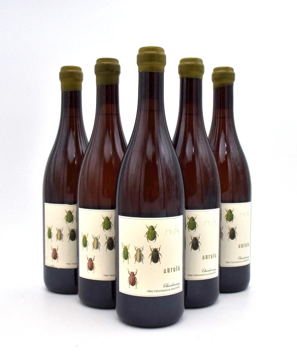 2019 Antica Terra 'Aurata' Chardonnay