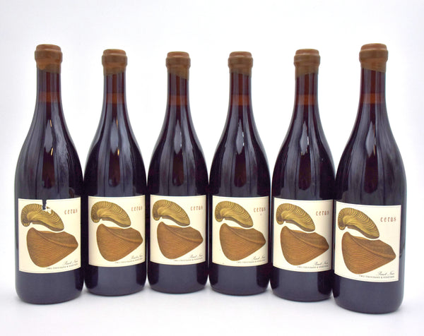 2019 Antica Terra 'Ceras' Pinot Noir