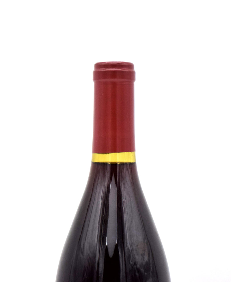 2011 Williams Selyem Sonoma Coast Pinot Noir